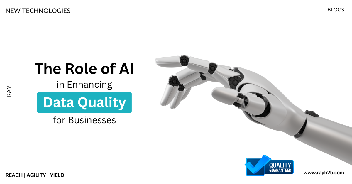 Enhancing Data Quality for Businesses with AI